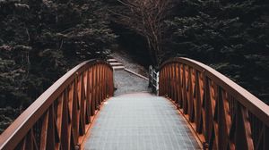 Preview wallpaper bridge, forest, trees, landscape