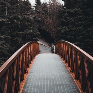 Preview wallpaper bridge, forest, trees, landscape