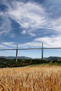 Preview wallpaper bridge, france, field, agriculture, rye, wheat