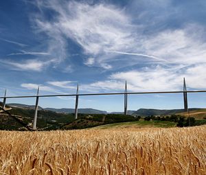 Preview wallpaper bridge, france, field, agriculture, rye, wheat