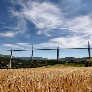 Preview wallpaper bridge, france, field, agriculture, rye, wheat