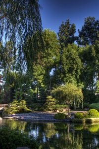 Preview wallpaper bridge, garden, trees, pond, sky