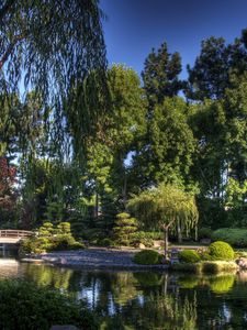 Preview wallpaper bridge, garden, trees, pond, sky