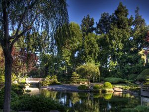 Preview wallpaper bridge, garden, trees, pond, sky