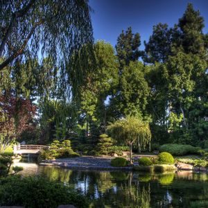 Preview wallpaper bridge, garden, trees, pond, sky