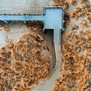 Preview wallpaper bridge, grass, aerial view, sand