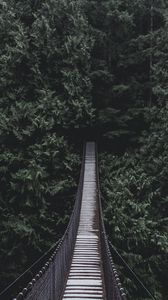 Preview wallpaper bridge, hanging bridge, trees