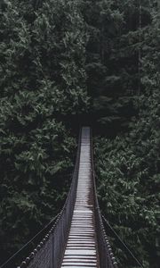 Preview wallpaper bridge, hanging bridge, trees