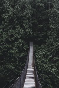 Preview wallpaper bridge, hanging bridge, trees