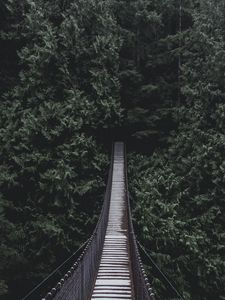 Preview wallpaper bridge, hanging bridge, trees