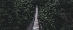 Preview wallpaper bridge, hanging bridge, trees