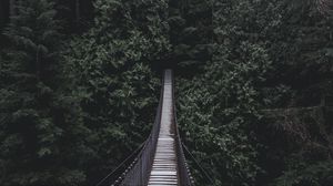 Preview wallpaper bridge, hanging bridge, trees