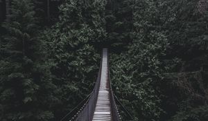 Preview wallpaper bridge, hanging bridge, trees