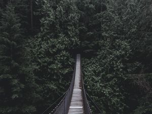 Preview wallpaper bridge, hanging bridge, trees