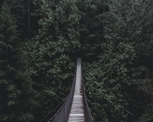 Preview wallpaper bridge, hanging bridge, trees