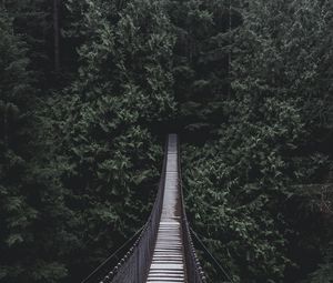 Preview wallpaper bridge, hanging bridge, trees