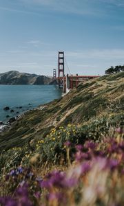 Preview wallpaper bridge, hills, water, coast, san francisco