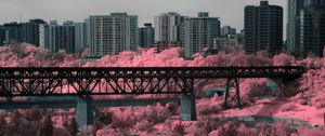 Preview wallpaper bridge, houses, buildings, trees, city, pink