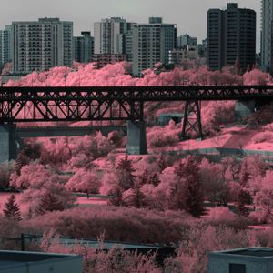 Preview wallpaper bridge, houses, buildings, trees, city, pink