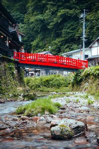 Preview wallpaper bridge, houses, stream, trees