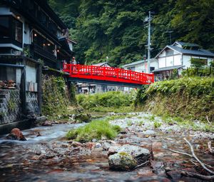 Preview wallpaper bridge, houses, stream, trees