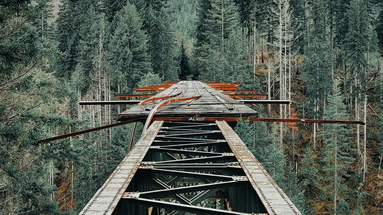 Wallpaper bridge, iron, mountains, forest, trees
