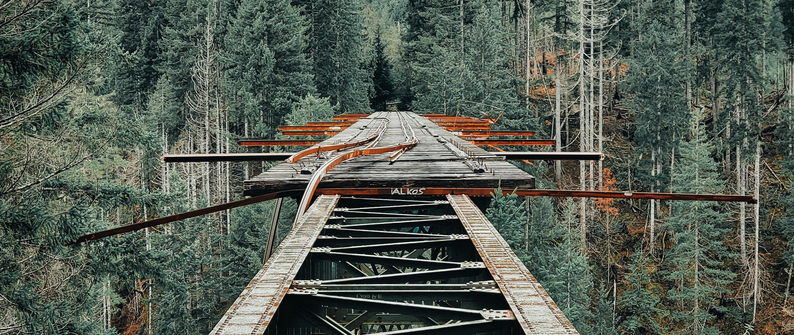 Download wallpaper 2560x1080 bridge, iron, mountains, forest, trees