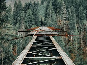 Preview wallpaper bridge, iron, mountains, forest, trees