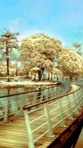 Preview wallpaper bridge, island, transition, trees, river, colors