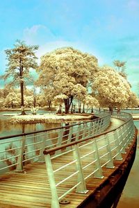 Preview wallpaper bridge, island, transition, trees, river, colors