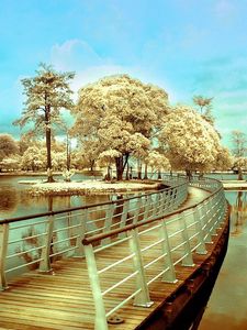 Preview wallpaper bridge, island, transition, trees, river, colors