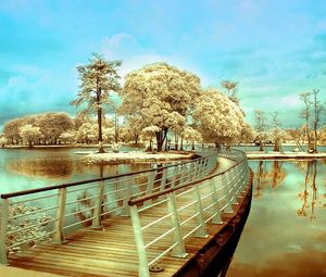 Preview wallpaper bridge, island, transition, trees, river, colors