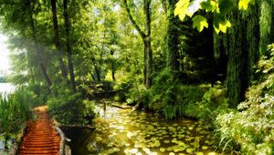 Preview wallpaper bridge, jungle, thickets, water-lilies, lake, reservoir, summer