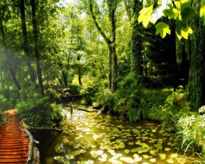 Preview wallpaper bridge, jungle, thickets, water-lilies, lake, reservoir, summer