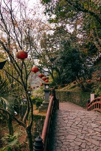 Preview wallpaper bridge, lanterns, china, trees, nature