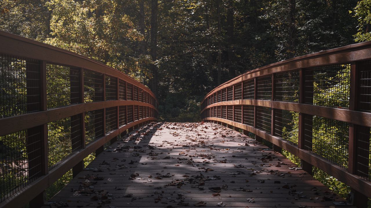 Wallpaper bridge, leaves, dry, autumn, light, shadows