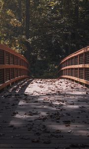 Preview wallpaper bridge, leaves, dry, autumn, light, shadows
