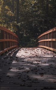 Preview wallpaper bridge, leaves, dry, autumn, light, shadows
