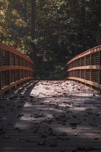 Preview wallpaper bridge, leaves, dry, autumn, light, shadows