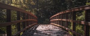 Preview wallpaper bridge, leaves, dry, autumn, light, shadows