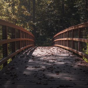 Preview wallpaper bridge, leaves, dry, autumn, light, shadows