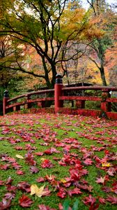 Preview wallpaper bridge, leaves, maple, autumn