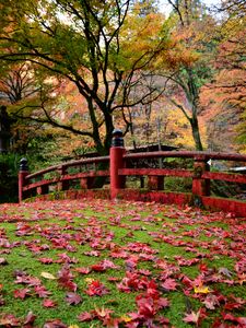 Preview wallpaper bridge, leaves, maple, autumn