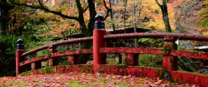 Preview wallpaper bridge, leaves, maple, autumn