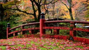 Preview wallpaper bridge, leaves, maple, autumn