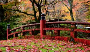 Preview wallpaper bridge, leaves, maple, autumn