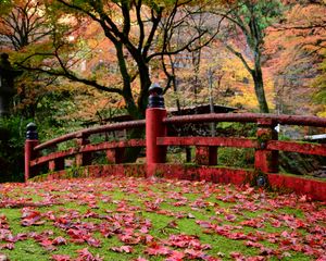 Preview wallpaper bridge, leaves, maple, autumn