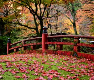 Preview wallpaper bridge, leaves, maple, autumn