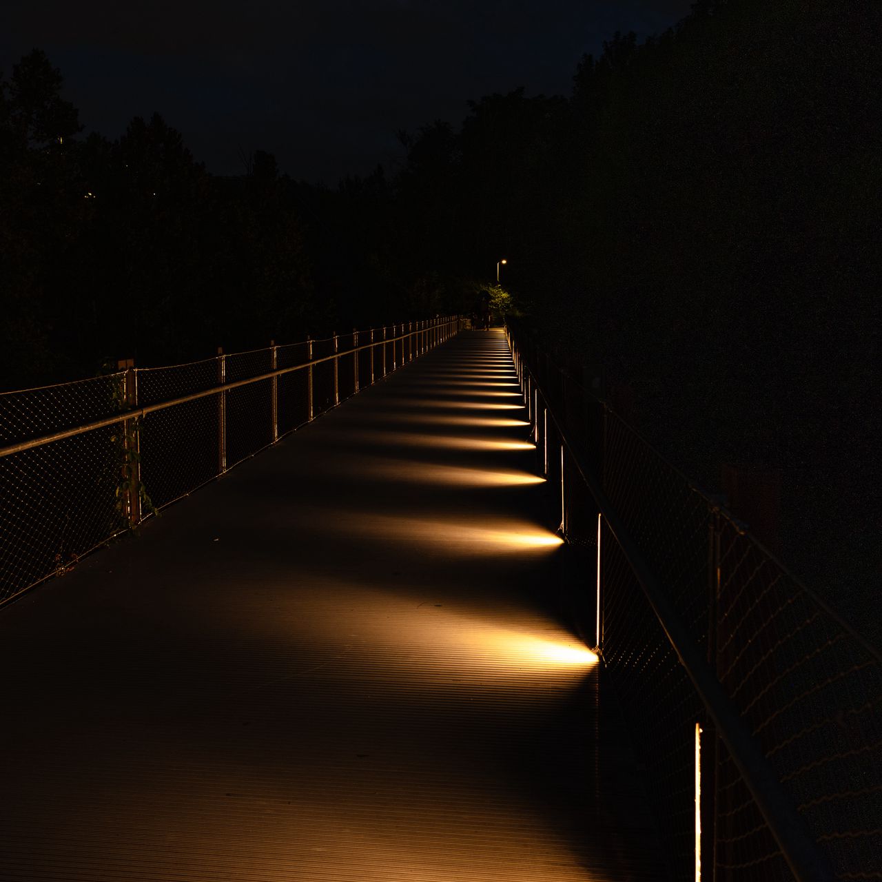 1280x1280 Wallpaper bridge, light, trees, dark, night