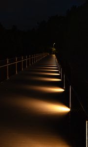 Preview wallpaper bridge, light, trees, dark, night